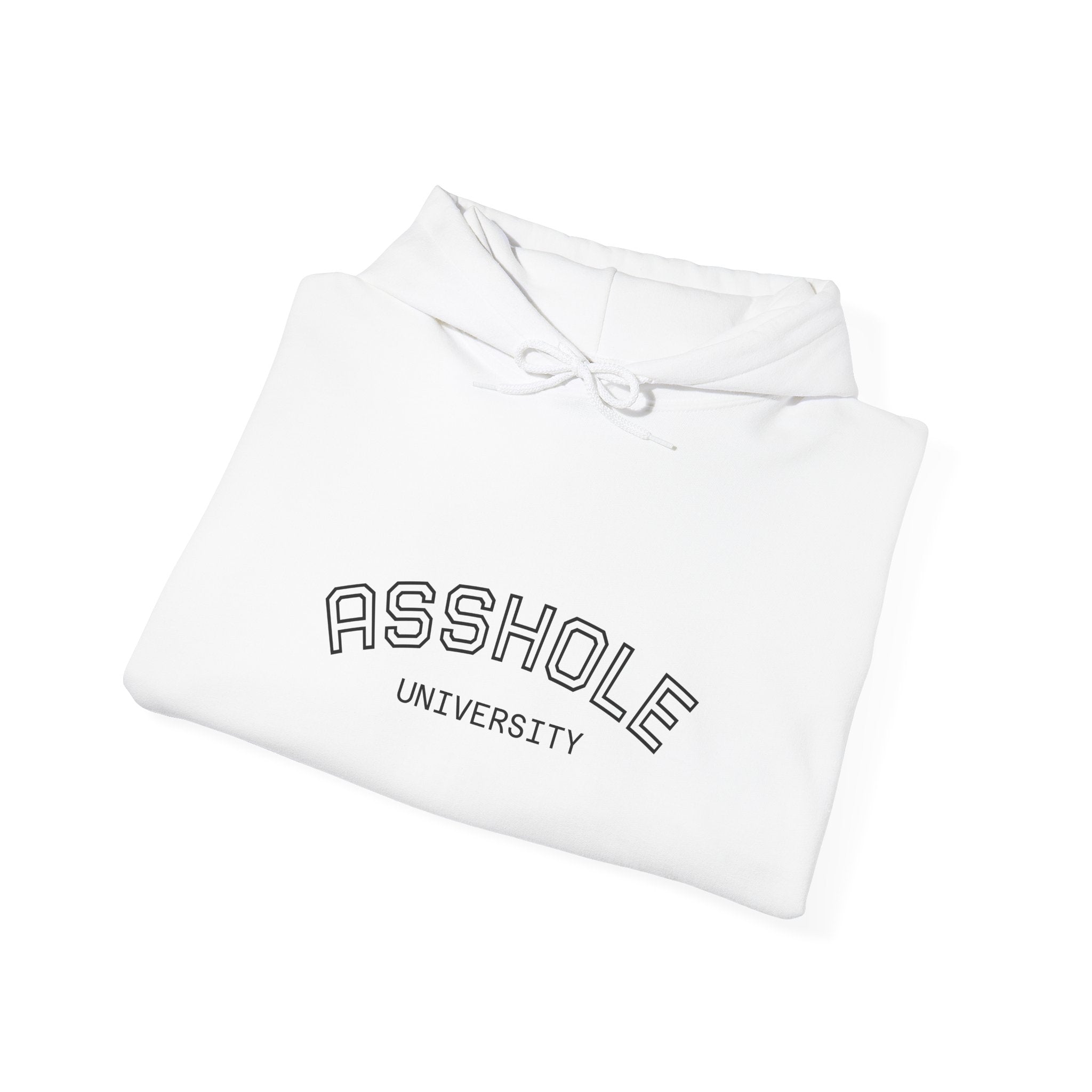 Asshole University Hoodie — Cute Grumpy Gator Graphic Pullover