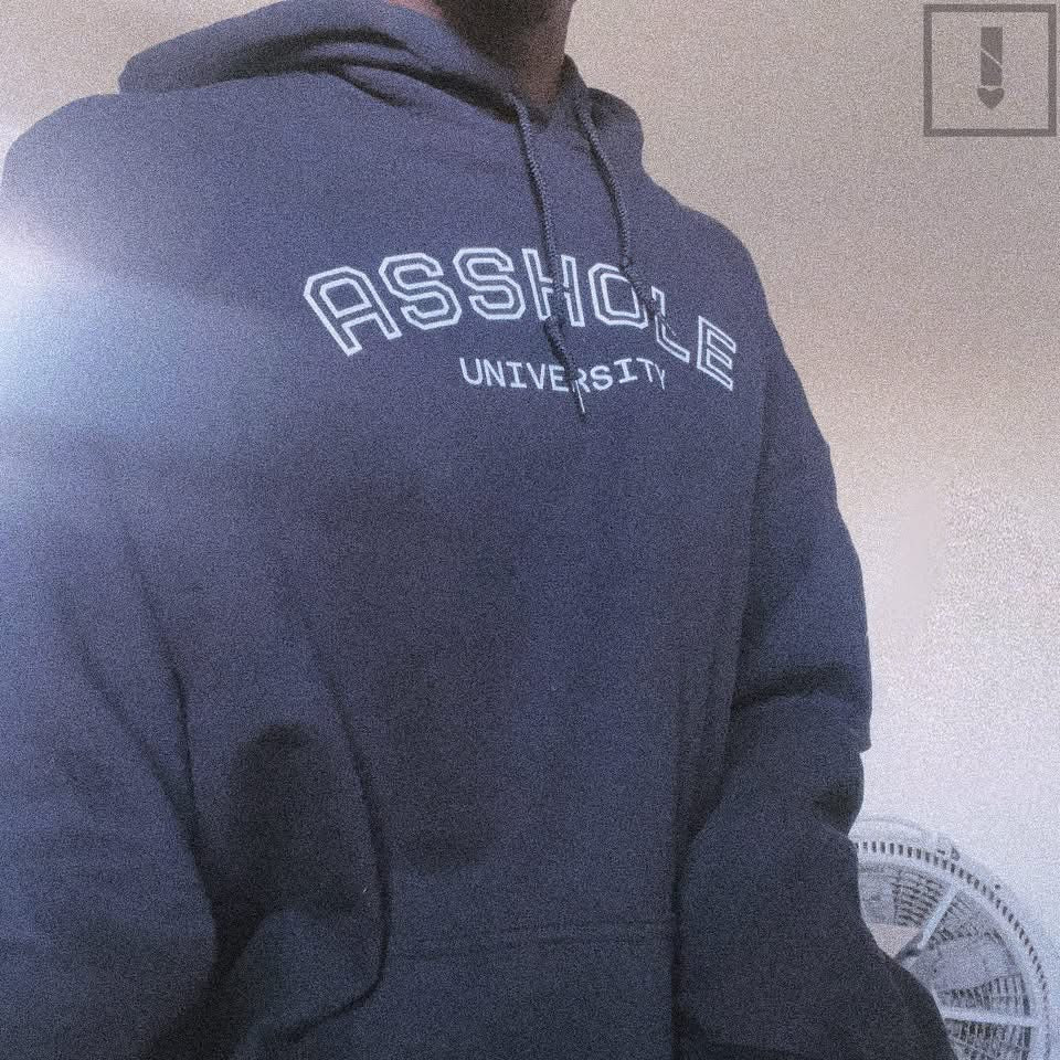 Asshole University Hoodie — Cute Grumpy Gator Graphic Pullover