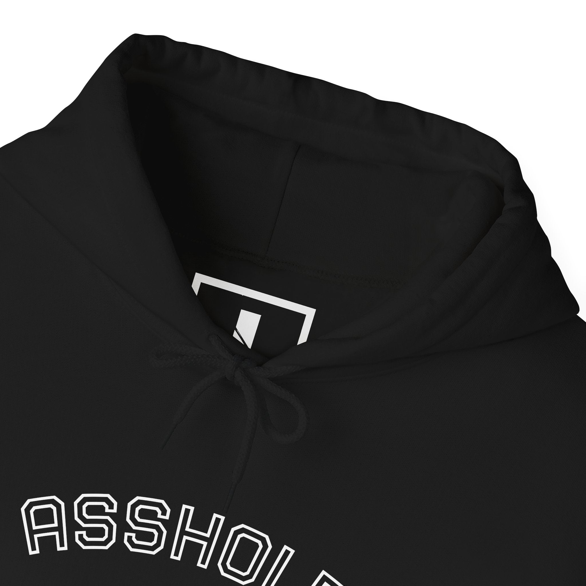 Asshole University Hoodie — Cute Grumpy Gator Graphic Pullover